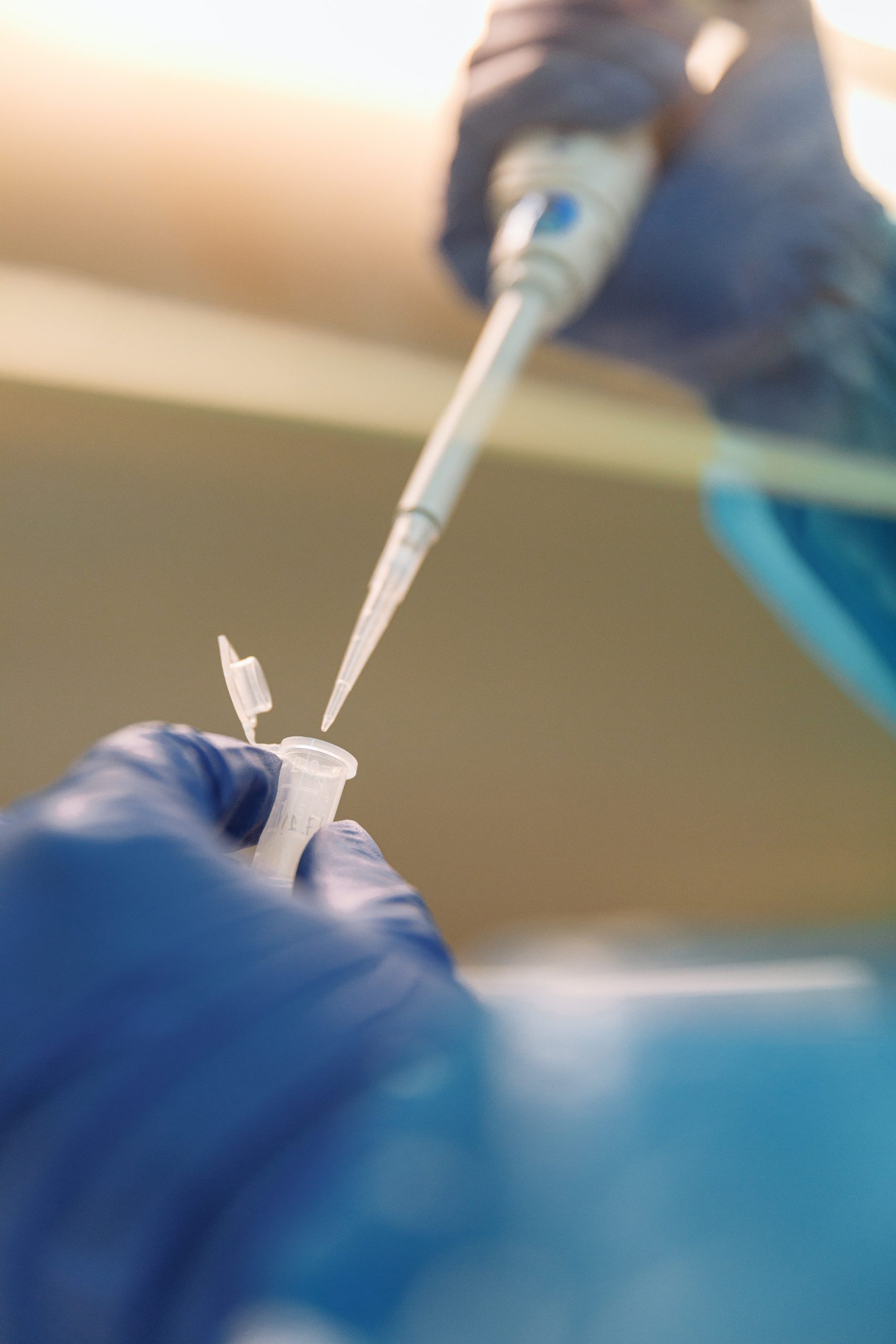 Nicht-invasiver Pränataltest (NIPT) - Mein Weg zur Solomama